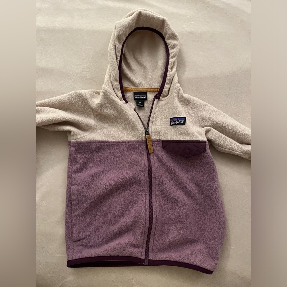 Patagonia micro fleece jacket